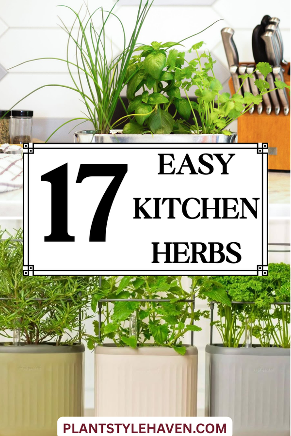17 Easy Kitchen Herbs to Boost Your Cooking Skills