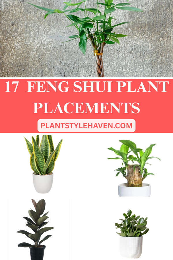 17 Enchanting Feng Shui Plant Placements for Harmony