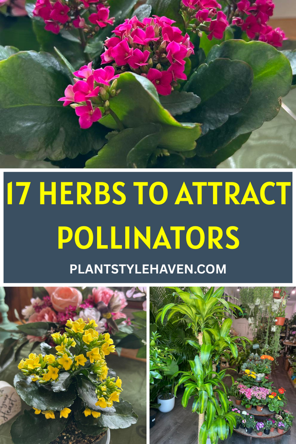 17 Enchanting Herbs to Attract Pollinators to Your Garden
