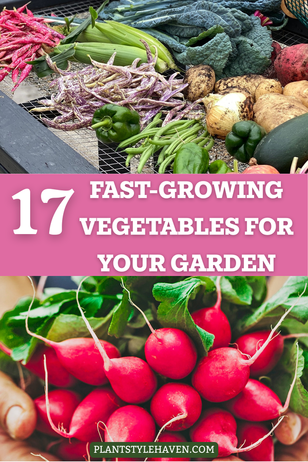 17 Fast-Growing Vegetables for Your Garden