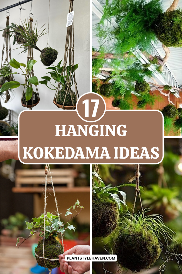 17 Hanging Kokedama Ideas to Transform Your Space