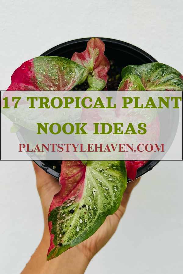 17 Ideas to Create Your Dream Tropical Plant Nook
