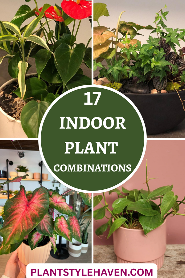 17 Indoor Plant Combinations to Brighten Your Home