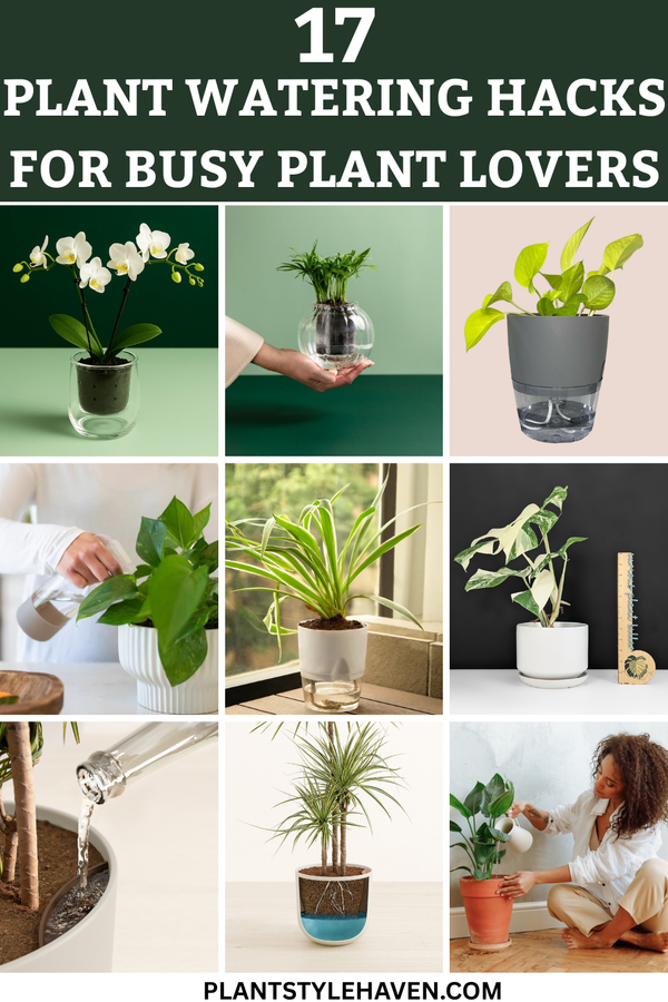 17 Plant Watering Hacks for Busy Plant Lovers