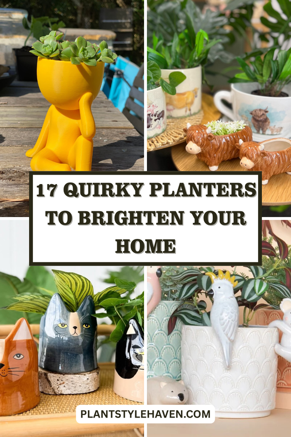 17 Quirky Planters to Brighten Your Home