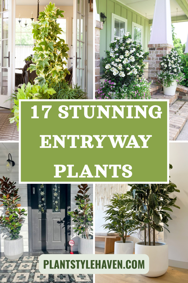 17 Stunning Entryway Plants to Transform Your Space