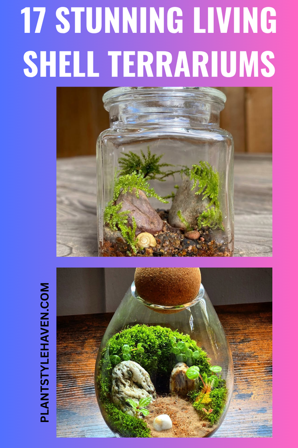 17 Stunning Living Shell Terrariums for Your Home