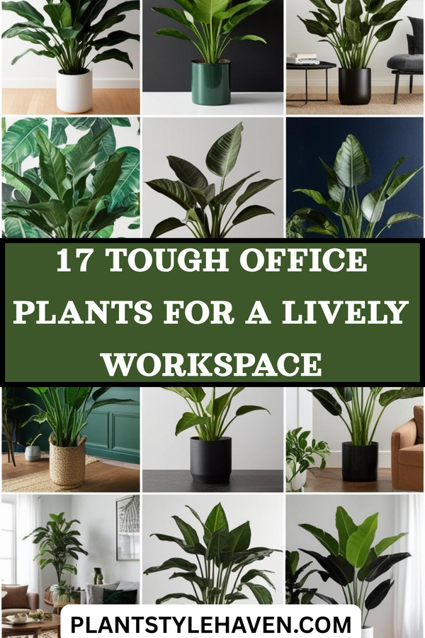 17 Tough Office Plants for a Lively Workspace