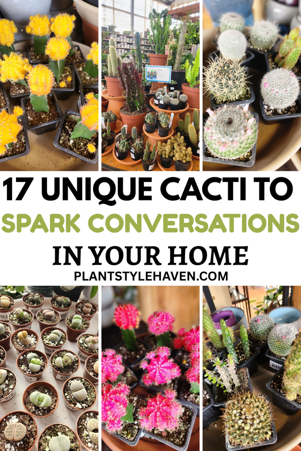 17 Unique Cacti to Spark Conversations in Your Home