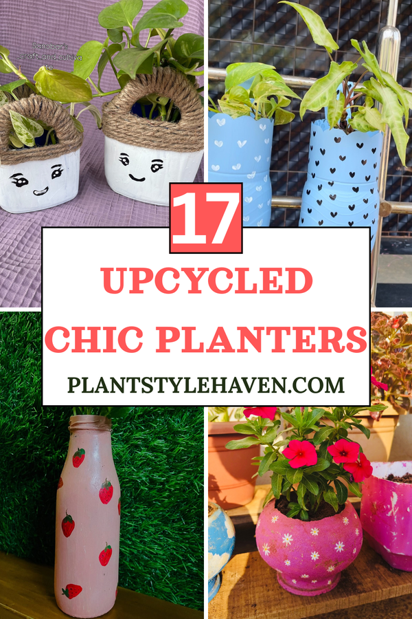 17 Upcycled Chic Planters to Elevate Your Space