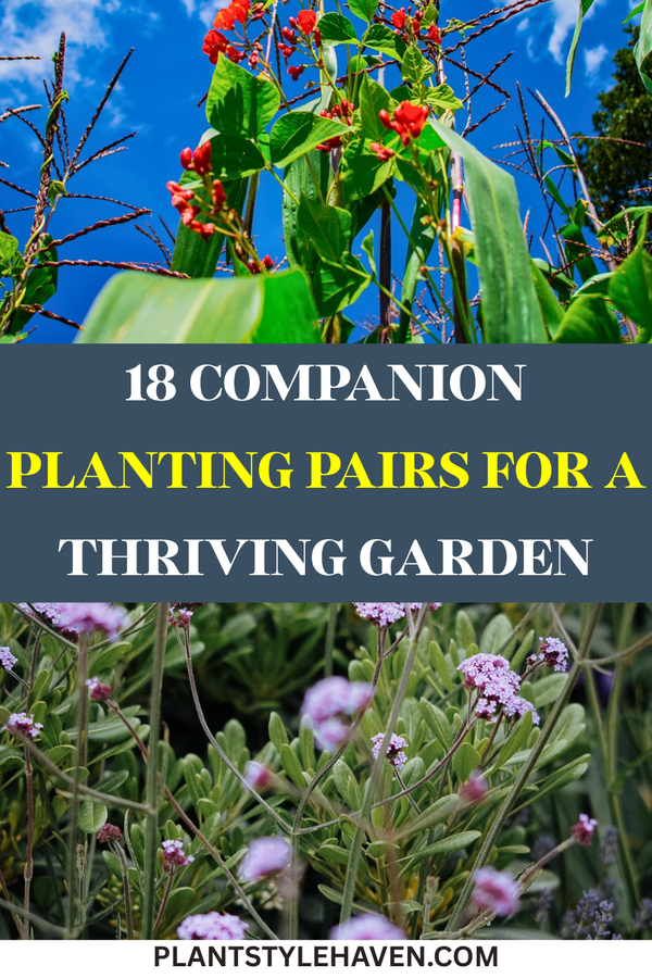 18 Companion Planting Pairs for a Thriving Garden