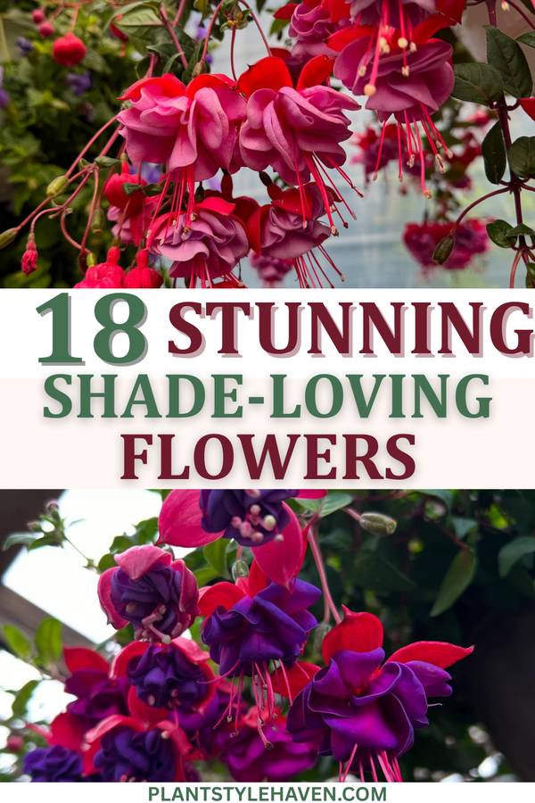 18 Stunning Shade-Loving Flowers for Your Apartment
