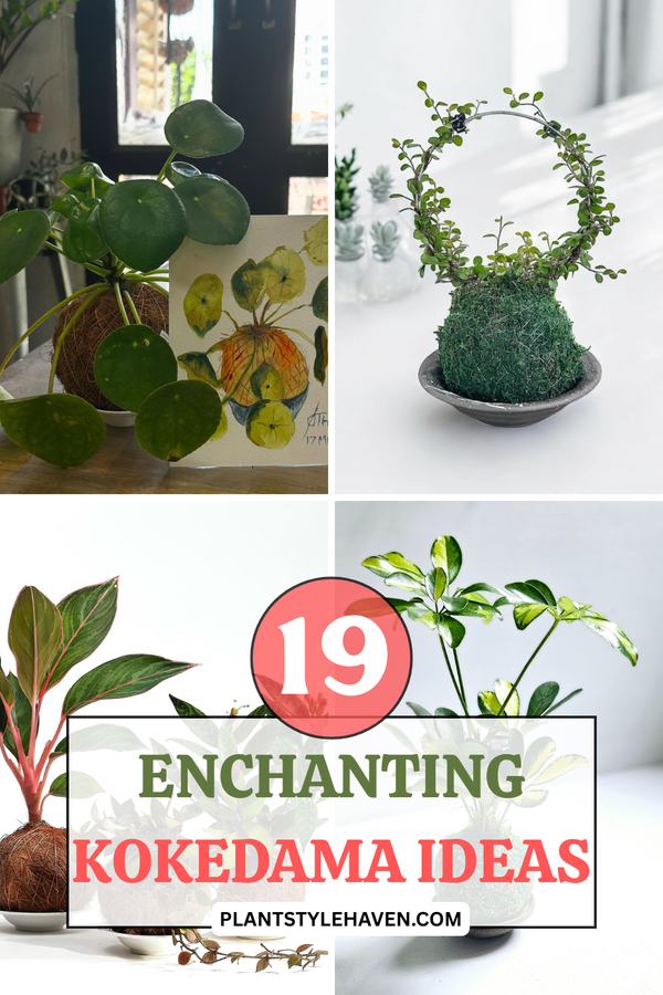 19 Enchanting Kokedama Ideas to Transform Your Space