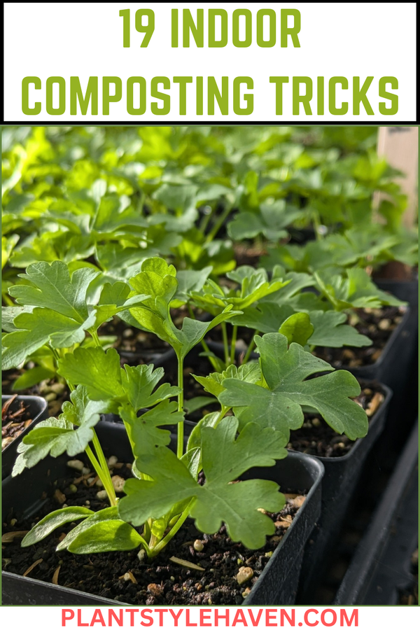 19 Indoor Composting Tricks for Small Spaces