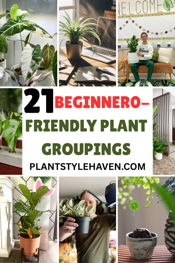 21 Beginner-Friendly Plant Groupings for Your Home