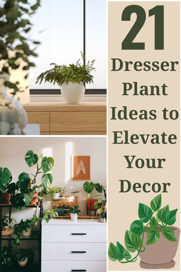 21 Dresser Plant Ideas to Elevate Your Decor