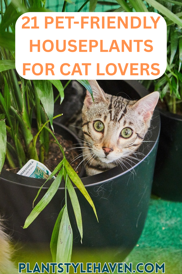 21 Pet-Friendly Houseplants for Cat Lovers