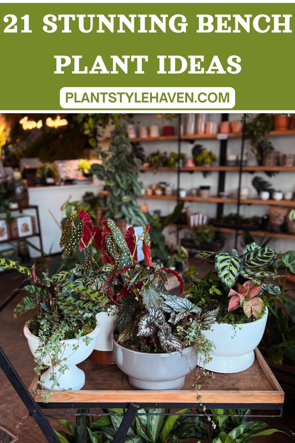 21 Stunning Bench Plant Ideas to Elevate Your Space
