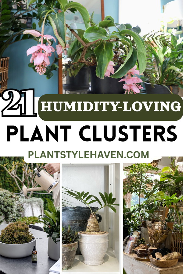 21 Stunning Humidity-Loving Plant Clusters for Your Home