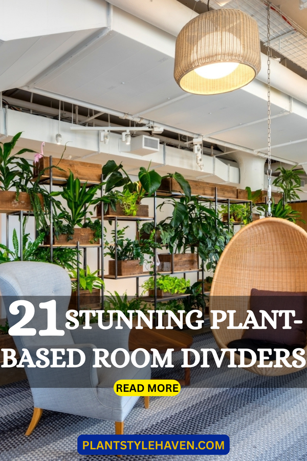 21 Stunning Plant-Based Room Dividers for Your Home