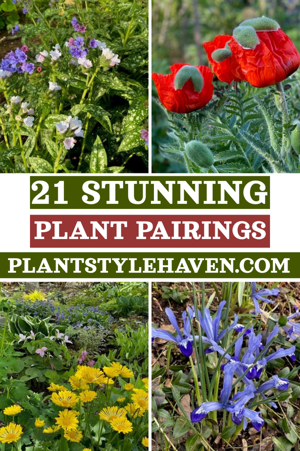 21 Stunning Plant Pairings to Transform Your Space