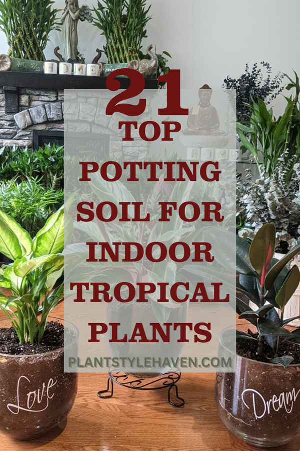 Top Potting Soil for Indoor Tropical Plants