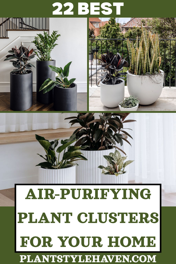 22 Stunning Air-Purifying Plant Clusters for Your Home