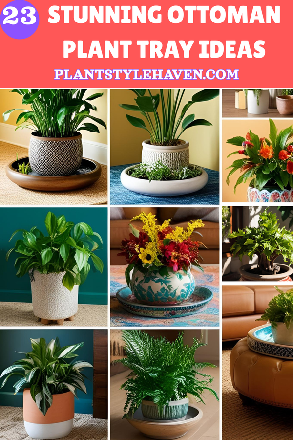 23 Stunning Ottoman Plant Tray Ideas to Elevate Your Home