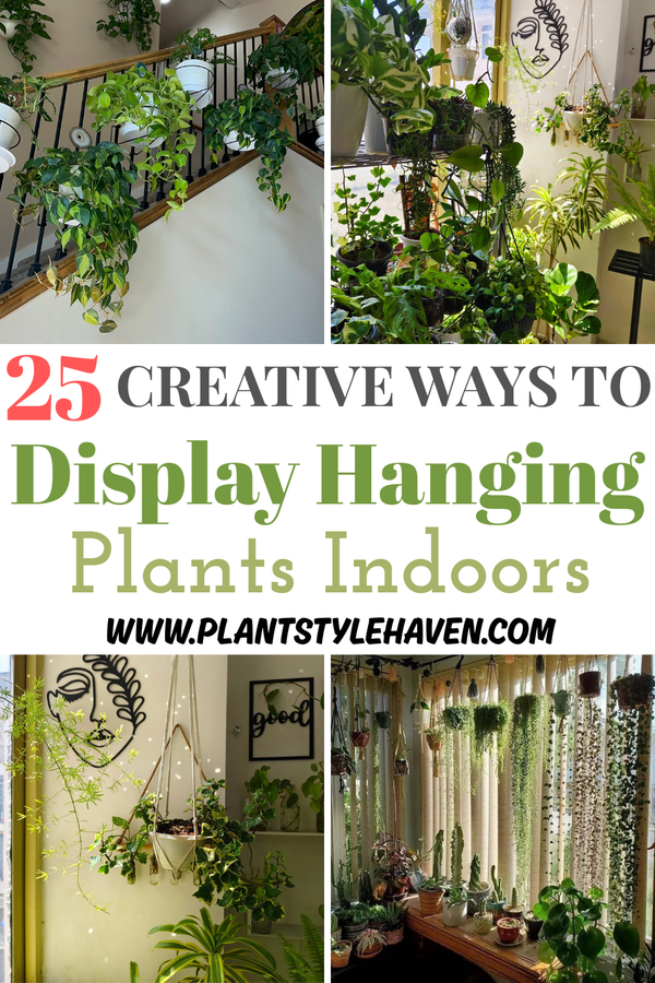 25 Creative Ways to Display Hanging Plants Indoors