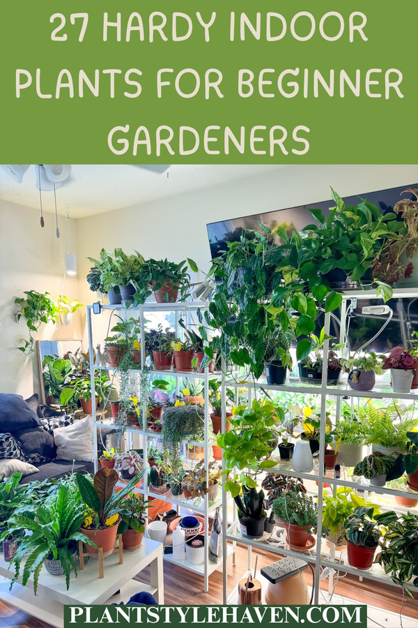 27 Hardy Indoor Plants for Beginner Gardeners