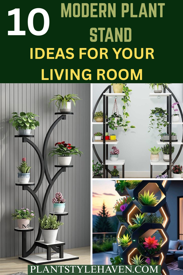 Modern Plant Stand Ideas to Transform Your Living Room