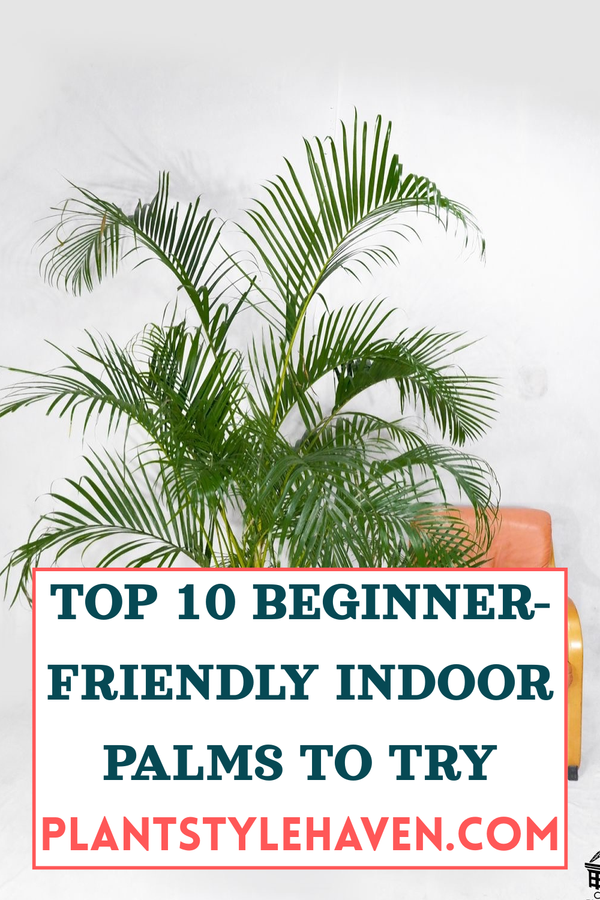 Top 10 Beginner-Friendly Indoor Palms to Try