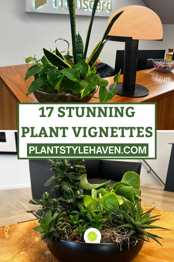 Transform Your Hallway with 17 Stunning Plant Vignettes