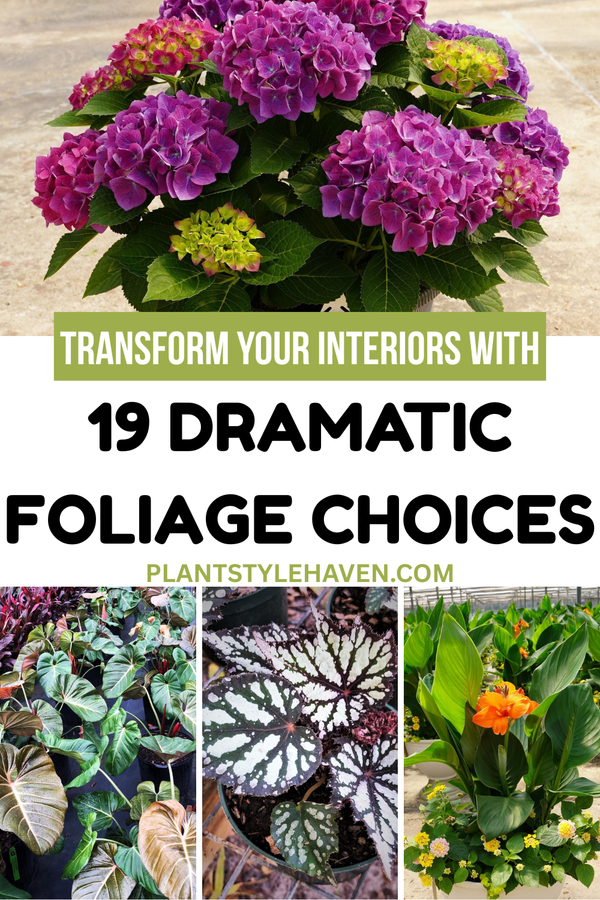 Transform Your Interiors with 19 Dramatic Foliage Choices
