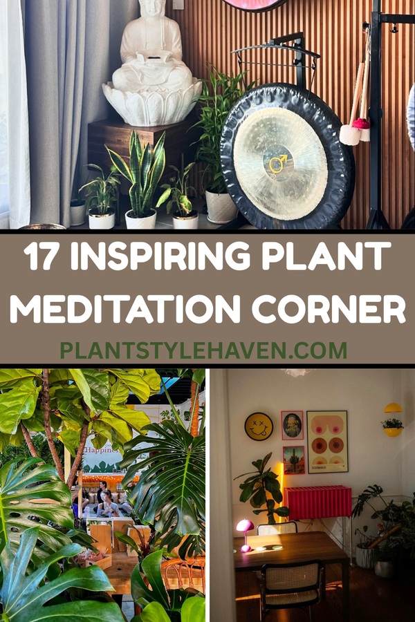 Transform Your Space: 17 Inspiring Plant Meditation Corners
