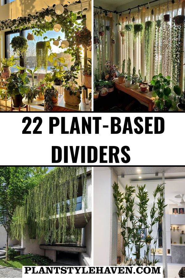 Transform Your Space with 22 Plant-Based Dividers