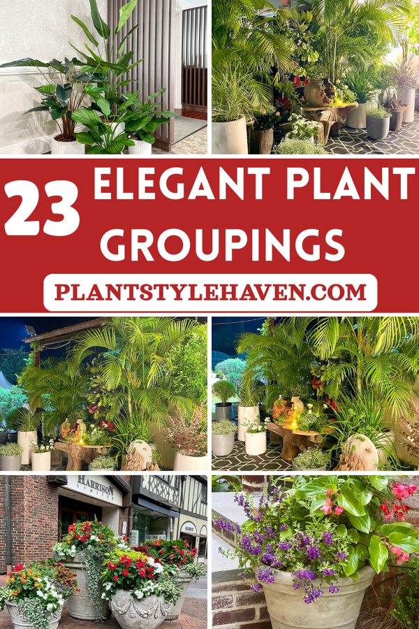 Transform Your Space with 23 Elegant Plant Groupings
