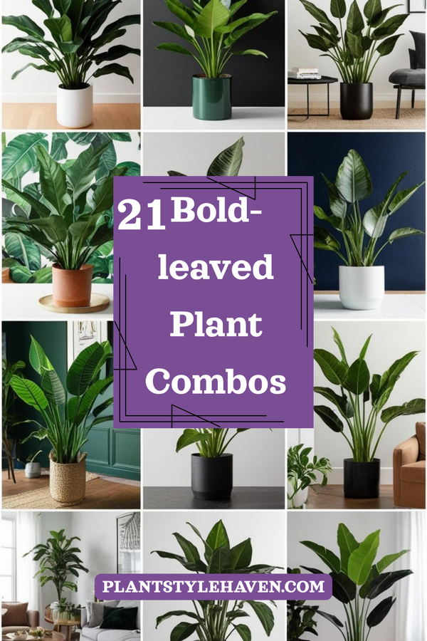Transform Your Space with Bold-leaved Plant Combos
