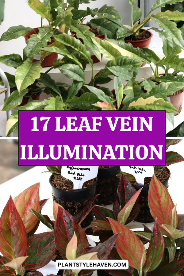 Transform Your Space with Leaf Vein Illumination
