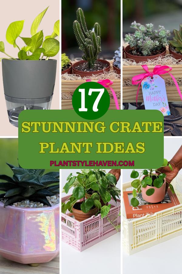 Transform Your Space with Stunning Crate Plant Ideas