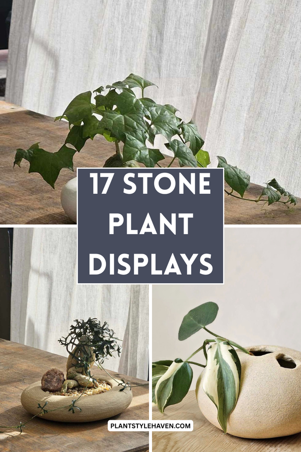 Transform Your Space with Stunning Stone Plant Displays