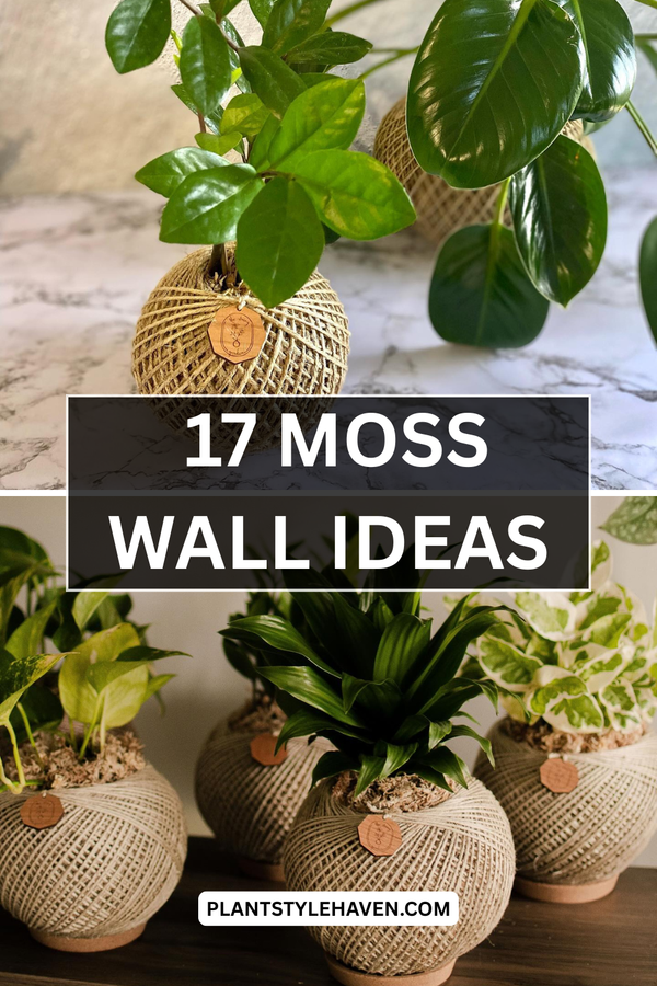 17 Stunning Kokedama String Gardens for Your Home