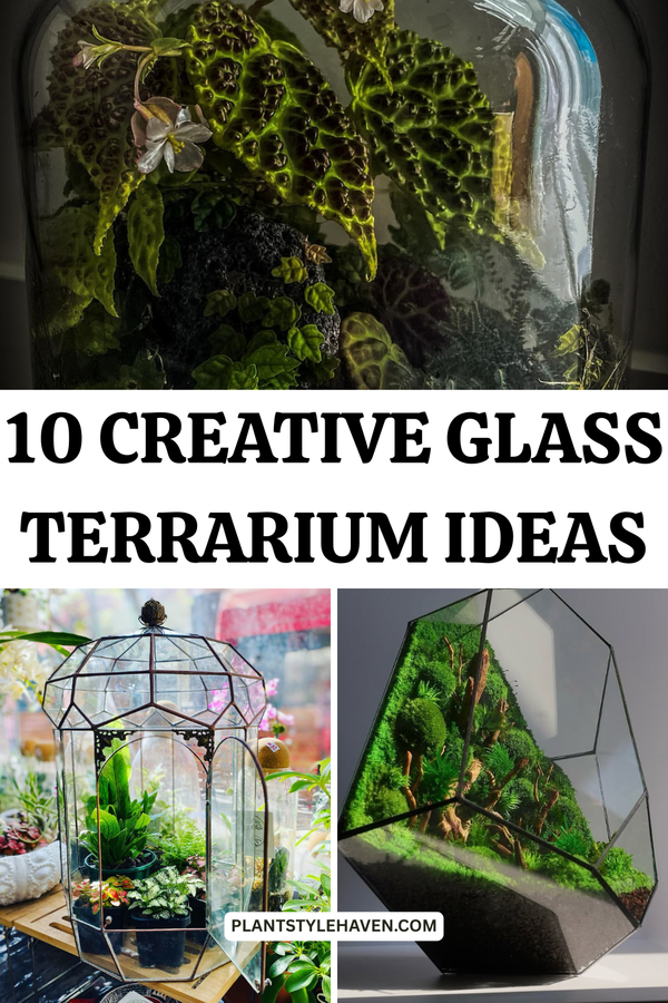 10 Creative Glass Terrarium Ideas for Modern Homes