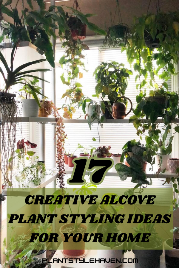 17 Creative Alcove Plant Styling Ideas for Your Home