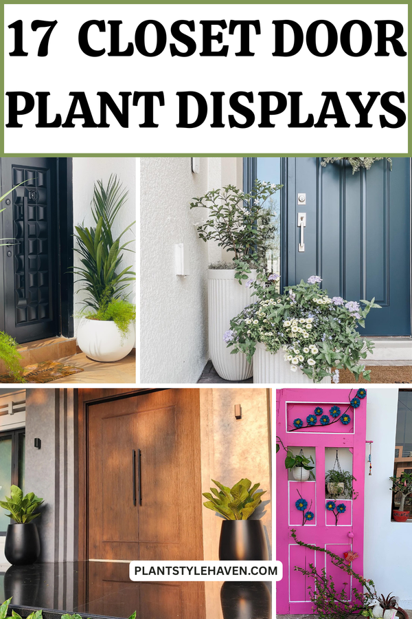 17 Creative Closet Door Plant Displays for Your Home