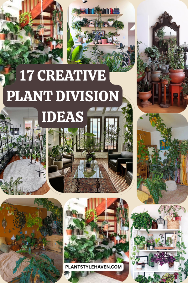 17 Creative Plant Division Ideas for Studio Apartments