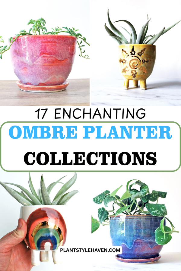 17 Enchanting Ombre Planter Collections for Your Home