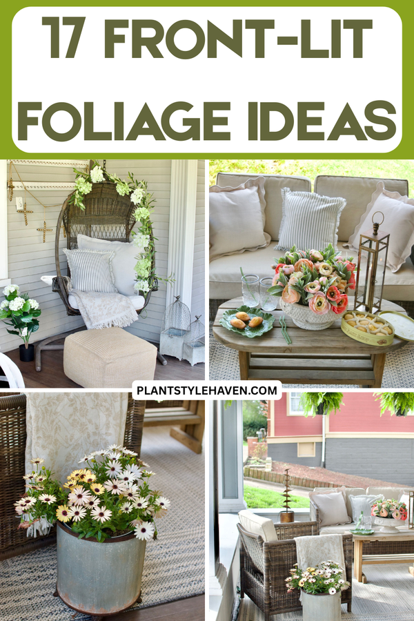 17 Front-lit Foliage Ideas to Brighten Your Space