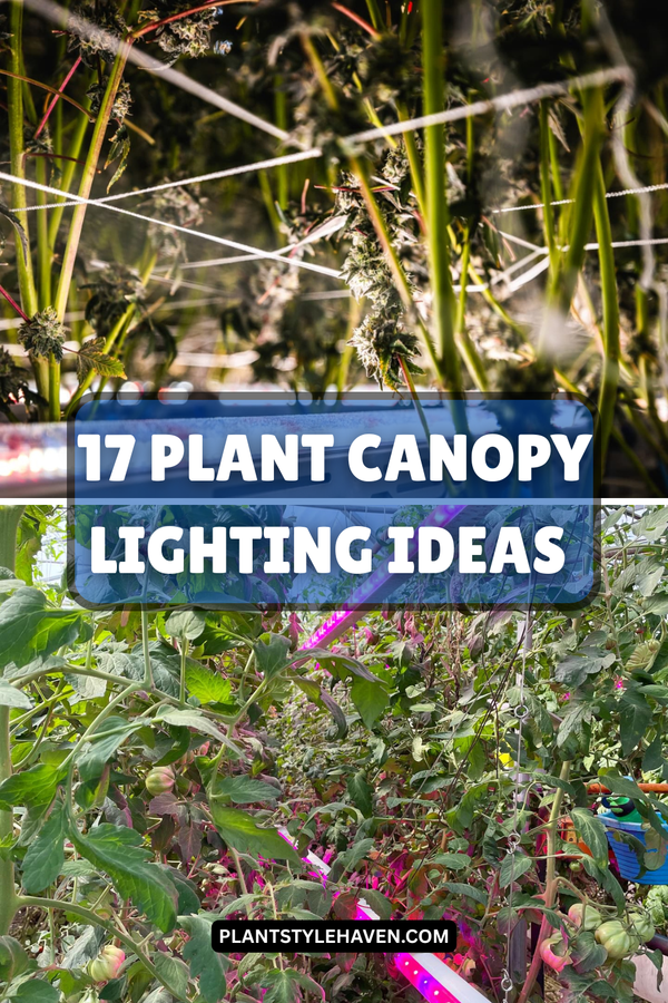 17 Plant Canopy Lighting Ideas to Enhance Your Space