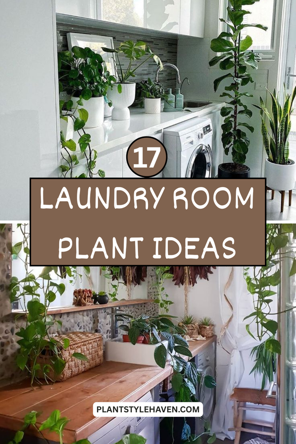 17 Refreshing Laundry Room Plant Ideas for Your Home